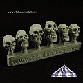 Ristul's Extraordinary Market Undead Ogre Skulls - 6x - COPA0041