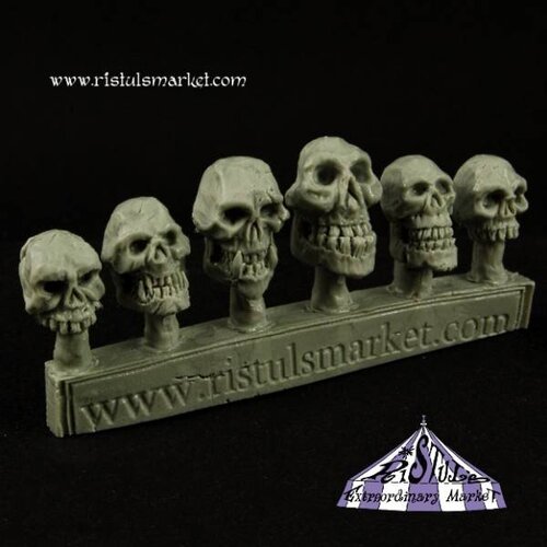 Ristul's Extraordinary Market Undead Ogre Skulls - 6x - COPA0041
