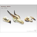 Tabletop-Art Monster Skull Set - TTA600033