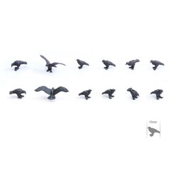 Raven Set - TTA601059