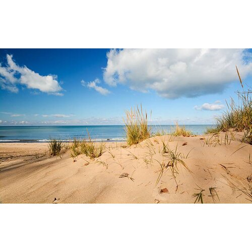 AK interactive Terrains Beach Sand - Diorama Series - 250ml - AK-8019