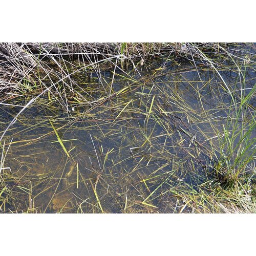 AK interactive Still Water - Diorama Series - 250ml - AK-8008