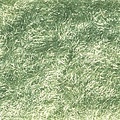 Woodland Scenics Static Grass Flock Light Green Shaker - 945cmÂ³ - FL634