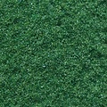 Ziterdes Basing & Battleground Structure Flock Medium Green Medium 5 mm - 10g - 12108