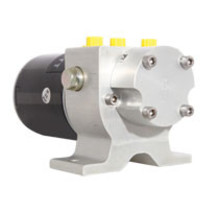 Hydraulische Omkeerbare Pomp