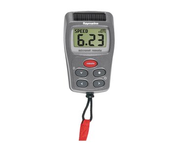 Raymarine T113