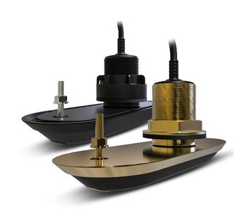 Raymarine RV-200 transducer