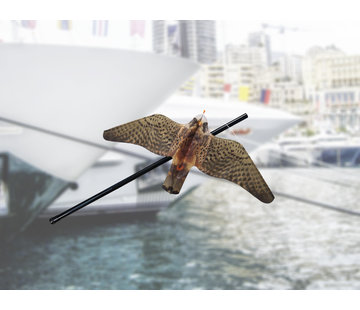 StopGull Falcon vogelverschrikker