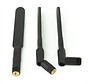 Stubby antenna 2dB