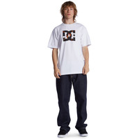 DC® Star Fill - White