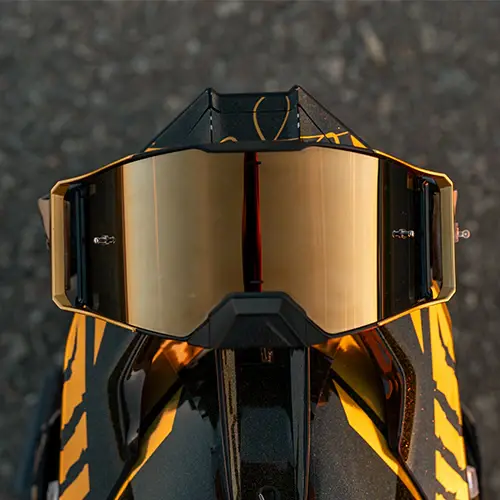 Lars Lion Gold Goggle