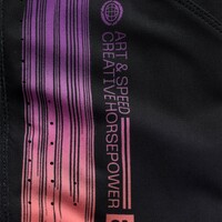 Troy Lee Designs SE Pro Pant Stripes - Black/Multi