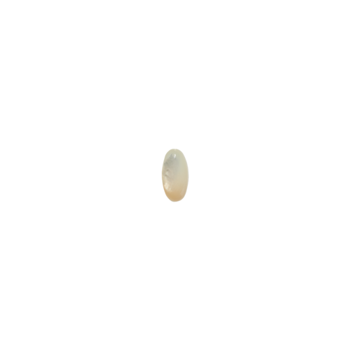 Marissa Eykenloof Ovaal Mother of pearl Marissa Eykenloof Ovaal Mother of pearl