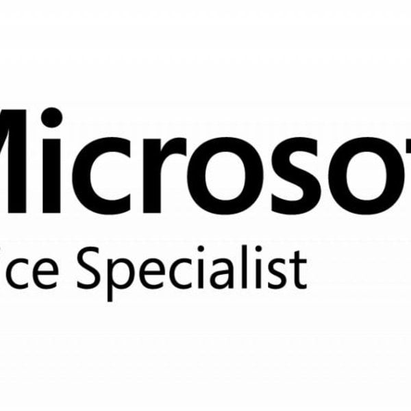 Microsoft Excel Specialist