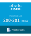 200-301 Cisco Certified Network Associate CCNA Live Labs