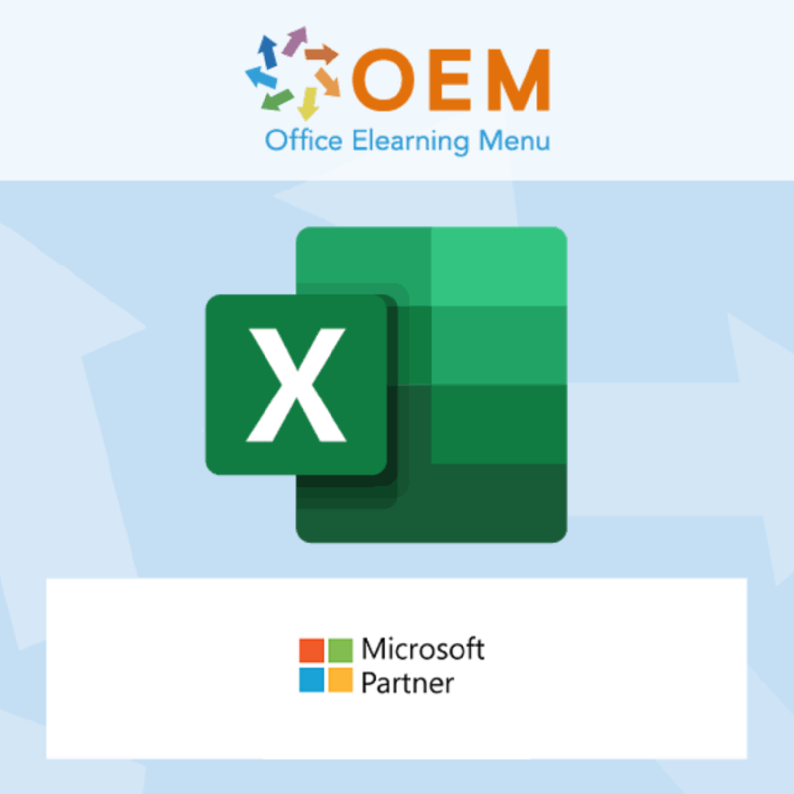 Microsoft Excel Excel 365 2019 Expert Virtueel