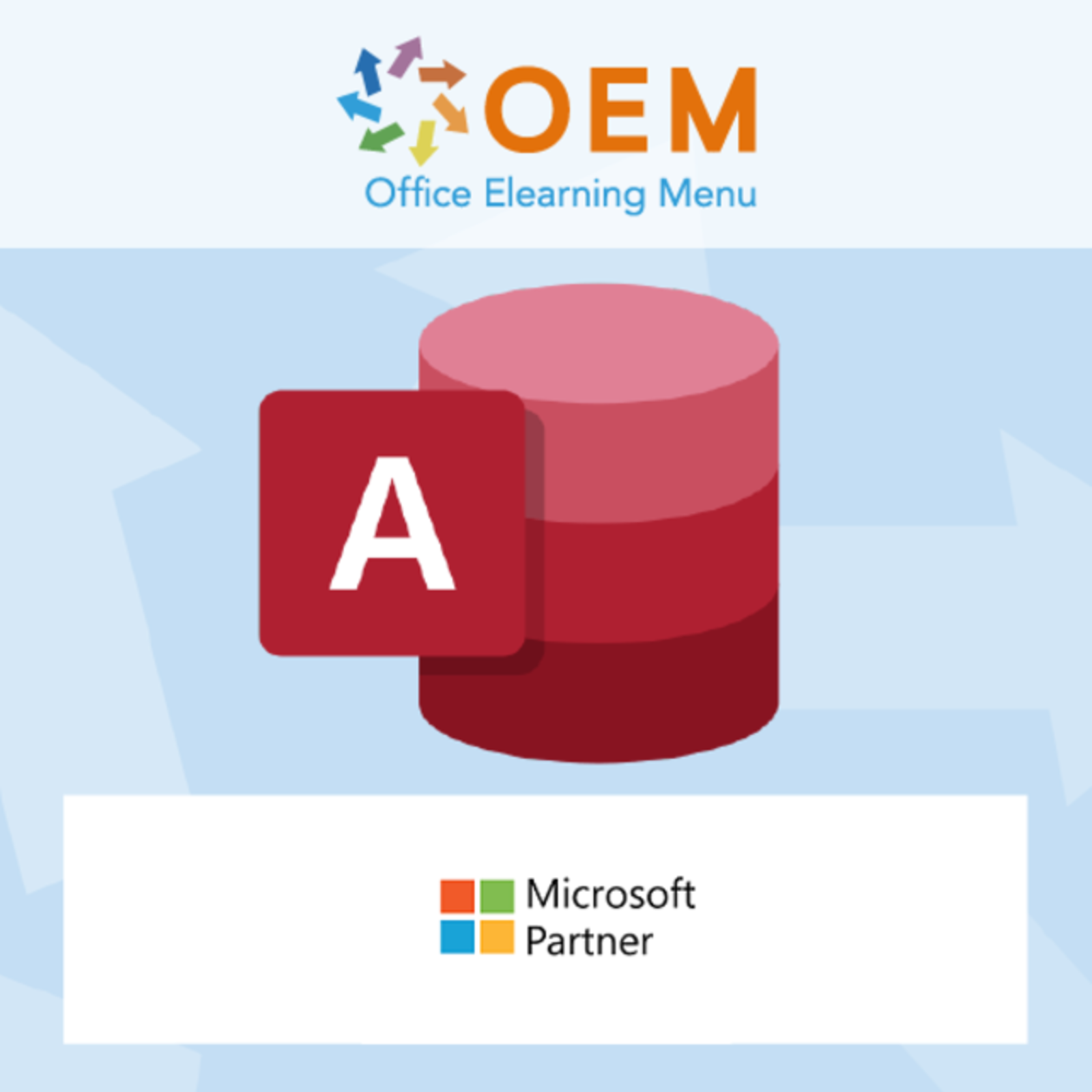 Microsoft Access Course Access 2019 Basic Incompany Training