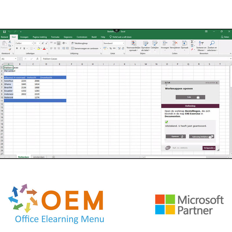 Excel 2019 Basis Cursus E-Learning + Online boek