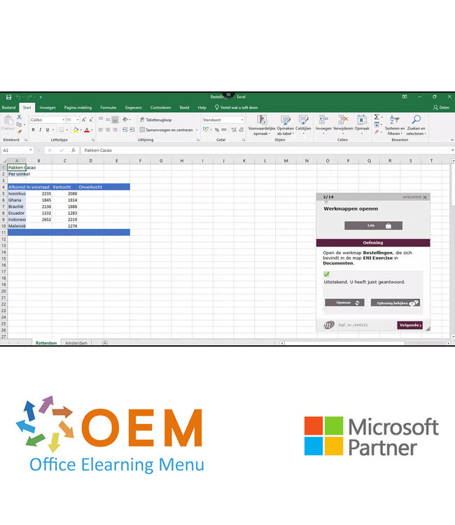 Microsoft Excel 365 Basis E-Learning + Online boek