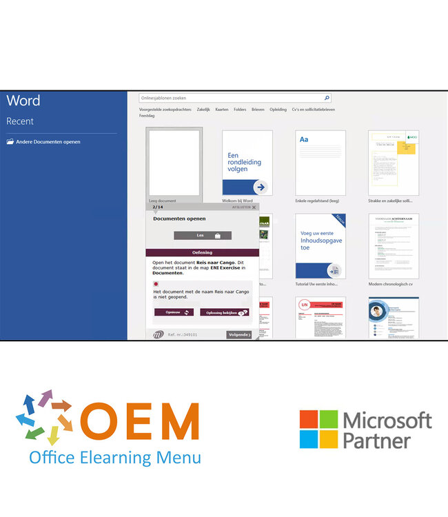 Microsoft Word 2019 Basis E-Learning + Online boek