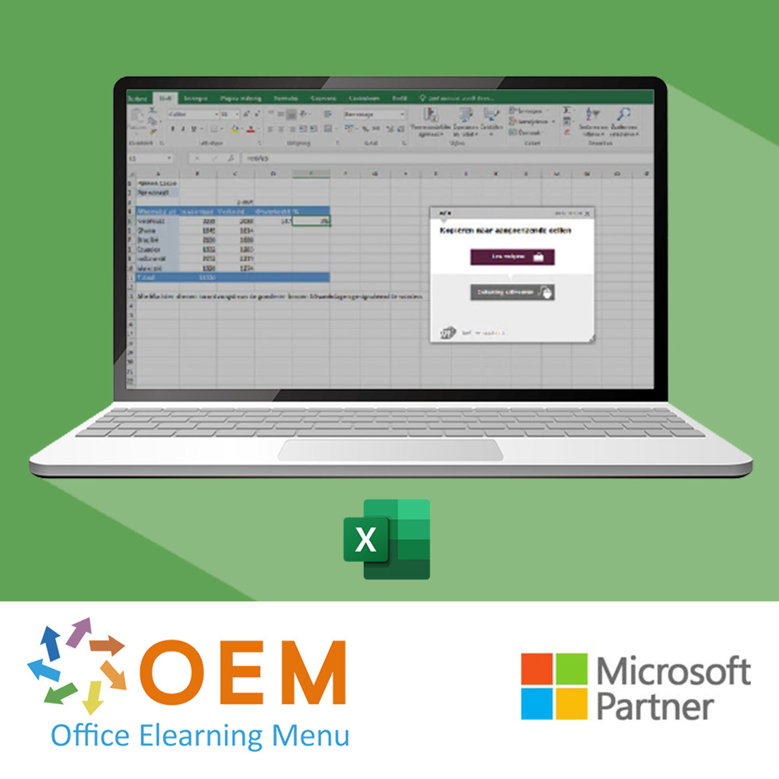 Microsoft Excel Excel 365 Basis Cursus E-Learning + Online boek