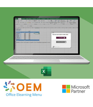 Microsoft Excel 2019 Basis Cursus E-Learning + Online boek