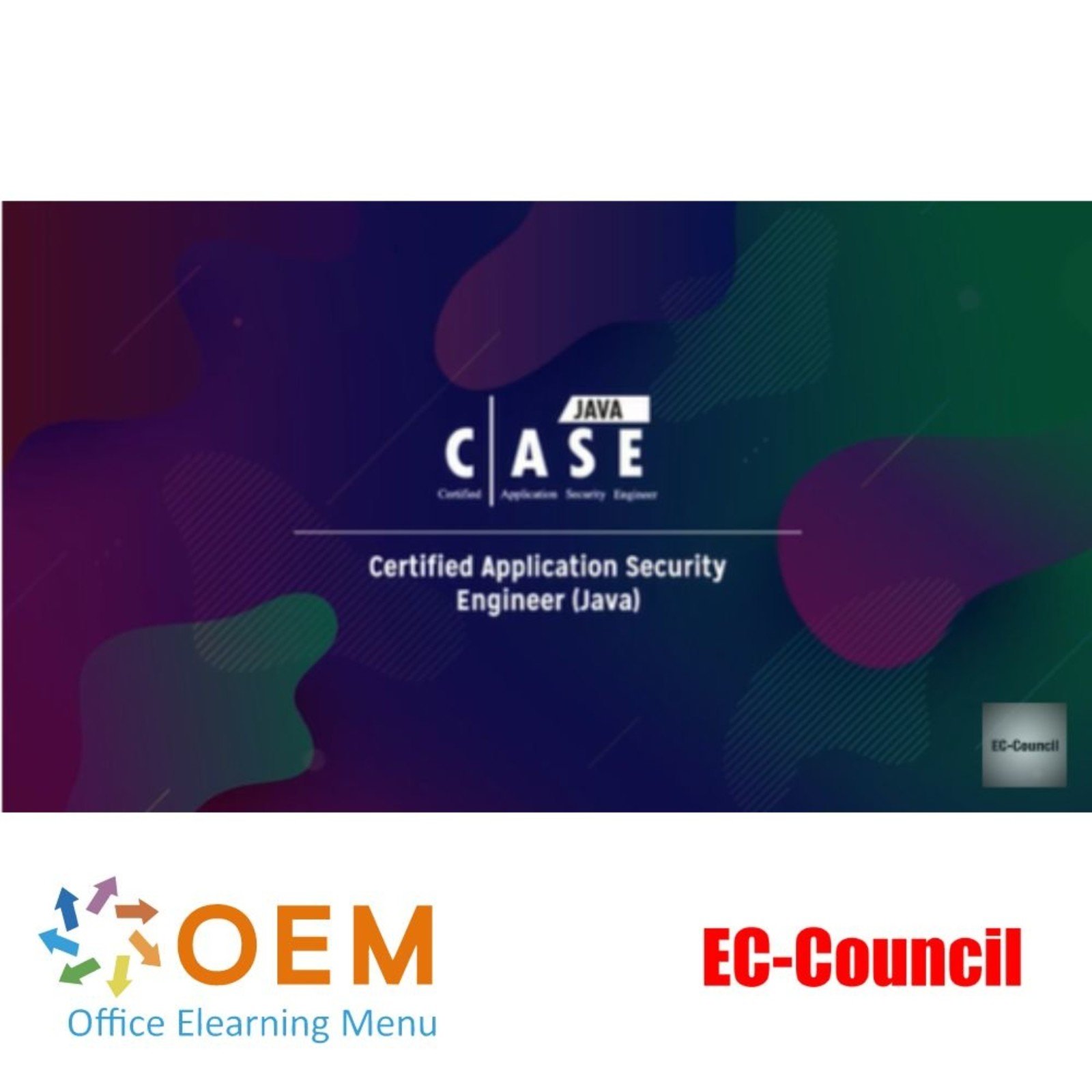 Certified Application Security Engineer (CASE Java) Training OEM
