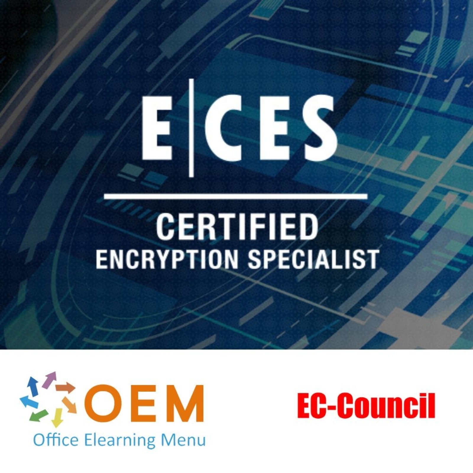 EC-Council Certified Encryption Specialist (ECES) Training