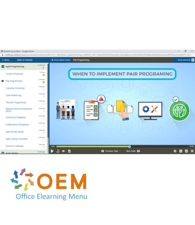 OEM Agile Software Development Training