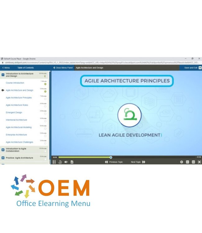 OEM Agile Software Development Training