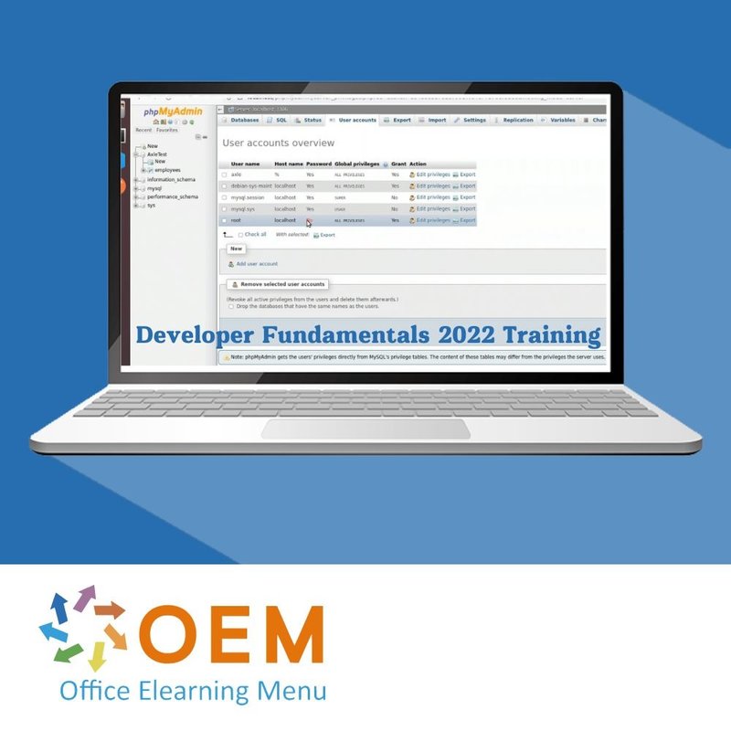 Developer Fundamentals 2022 Training