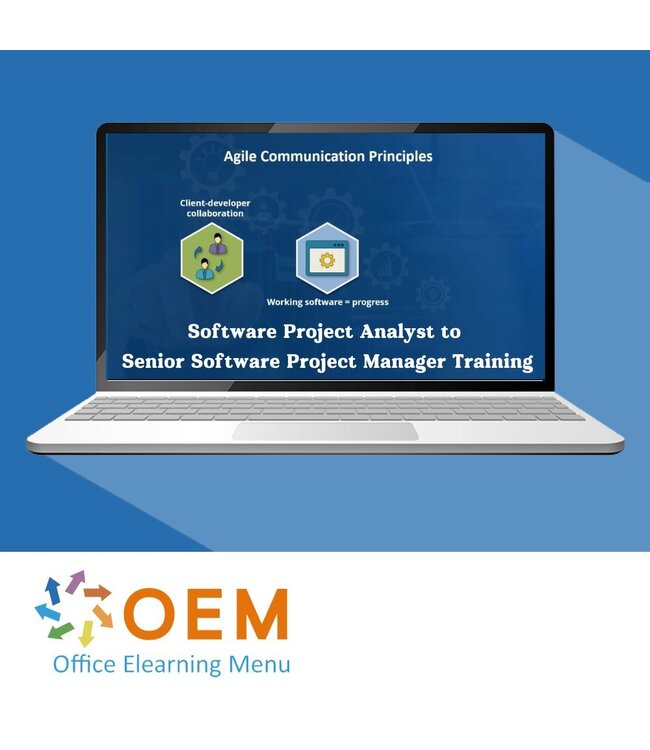 Software Project Analyst to Senior Software Project Manager Training