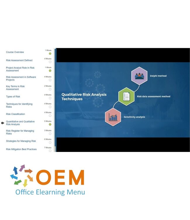 OEM Software Project Analyst to Senior Software Project Manager Training