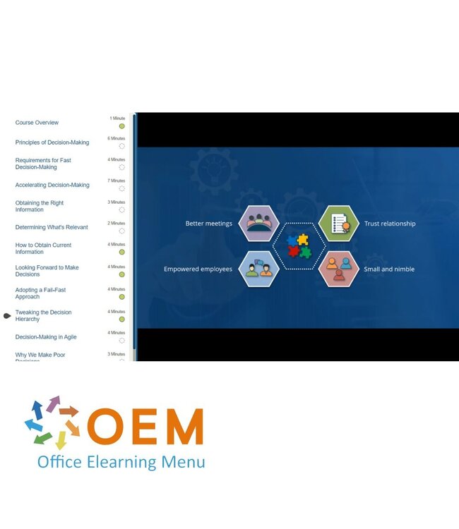 OEM Software Project Analyst to Senior Software Project Manager Training