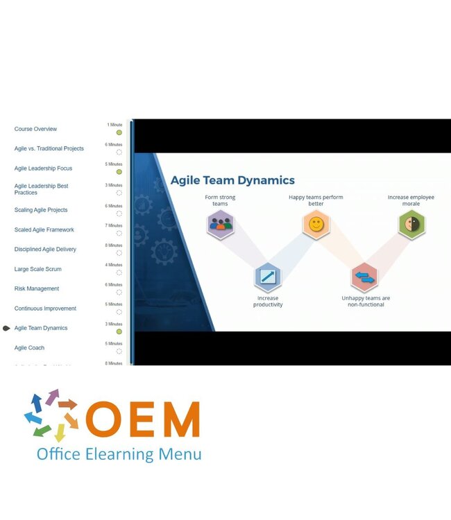 OEM Software Project Analyst to Senior Software Project Manager Training