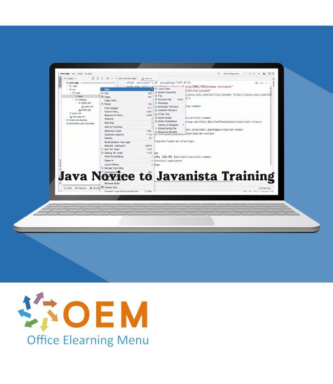 Oracle Java Novice to Javanista Training