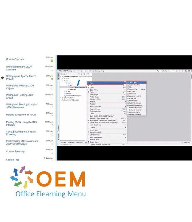 Oracle Java Novice to Javanista Training