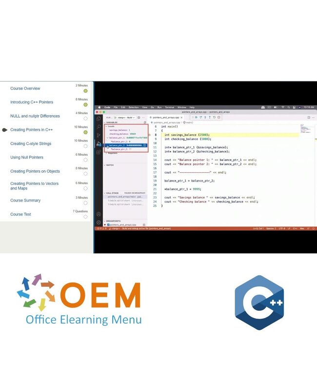 OEM Programming in C++ (version 20) Training