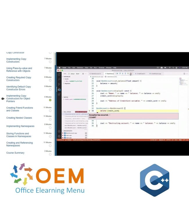 OEM Programming in C++ (version 20) Training
