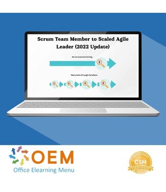 Scrum Team Member to Scaled Agile Leader Training