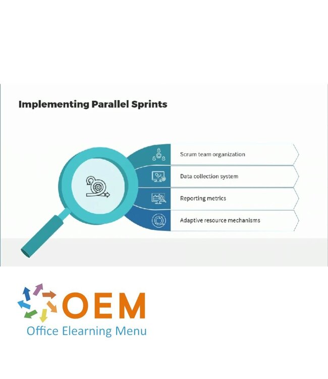 OEM Scrum Team Member to Scaled Agile Leader Training