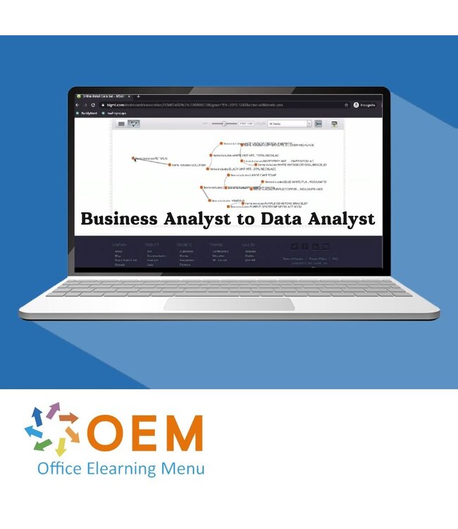 Business Analyst to Data Analyst Training