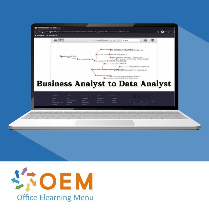 Business Analyst to Data Analyst Training