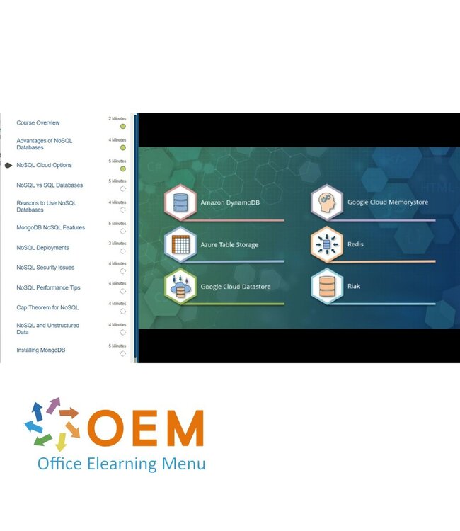 OEM Full Stack Development From Essentials To Data Development Training