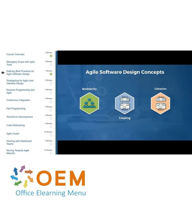 OEM Agile Project Management Training