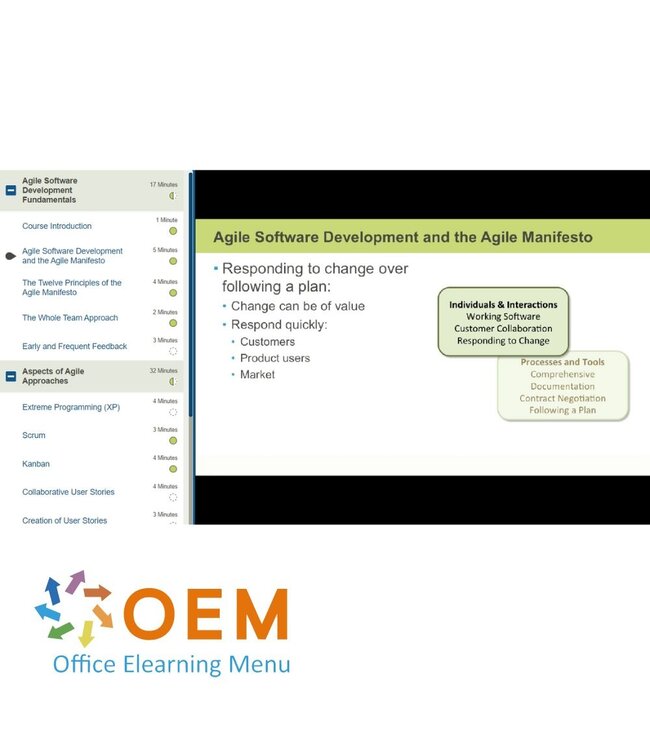 OEM Agile Software Testing Training