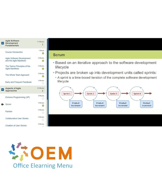 OEM Agile Software Testing Training