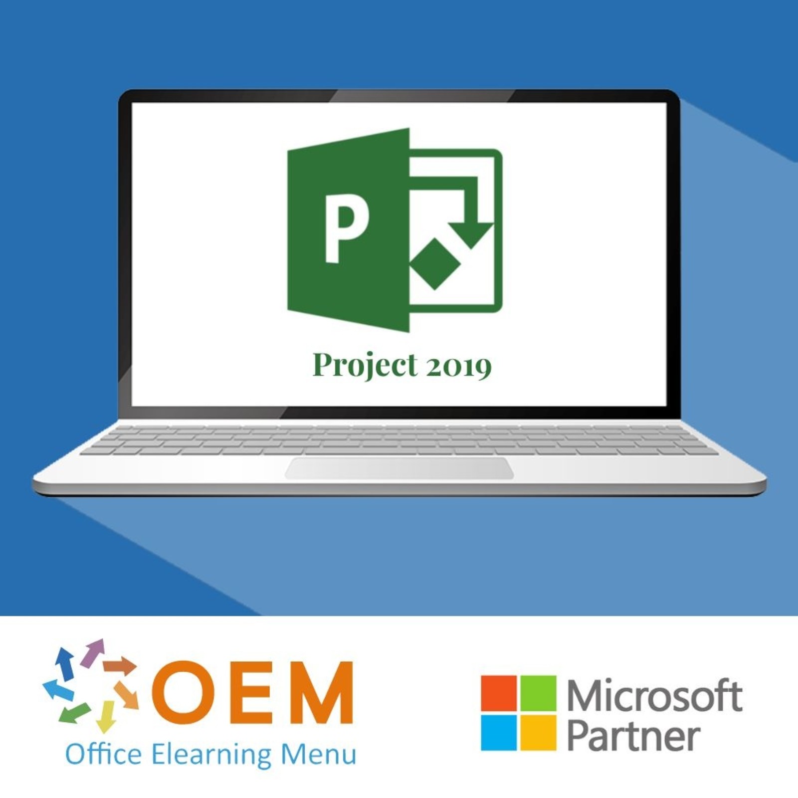 Microsoft Project Project 2019 Course Beginner Intermediate  E-Learning