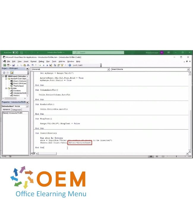 OEM Automating Excel and Access Using VBA Course E-Learning
