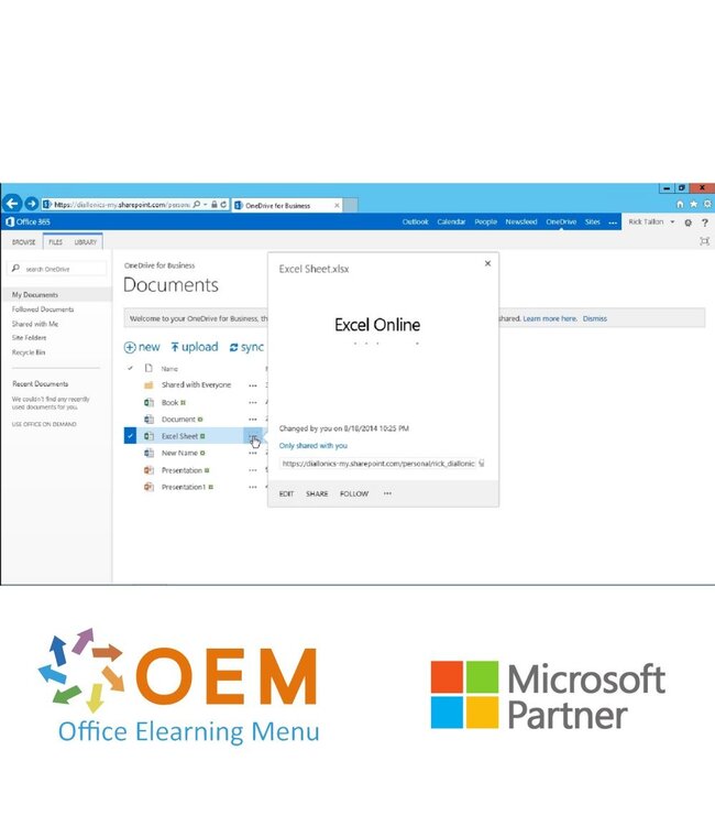 Microsoft Microsoft Office Online and Office 365 Cursus E-Learning